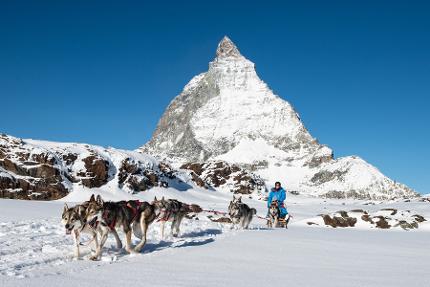 Husky Schlittenfahrten vor dem Matterhorn
