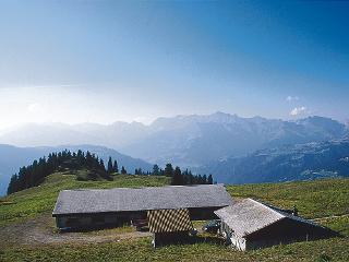 Alp Larein oberhalb Jenaz