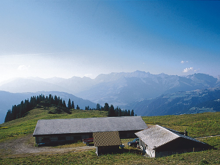 Alpkäse-Abo Alp Larein