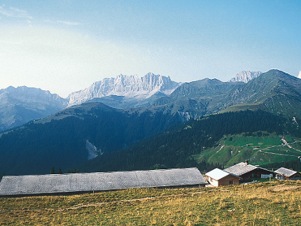 Alpkäse-Abo Alp Valpun
