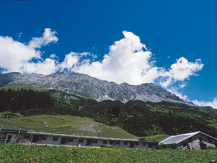 Alpkäse-Abo Alp Vals